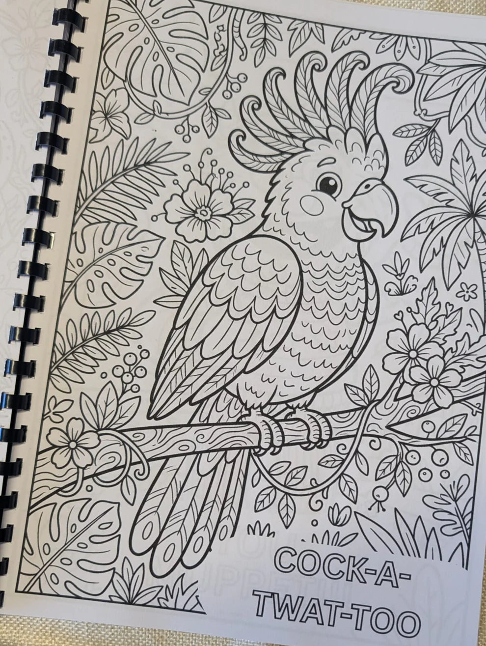 Adult swear puns colouring book
