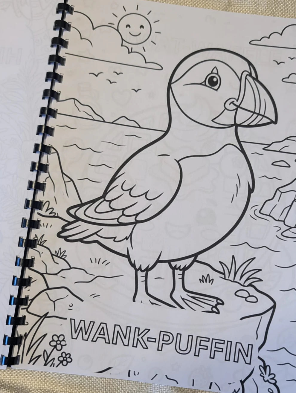Adult swear puns colouring book