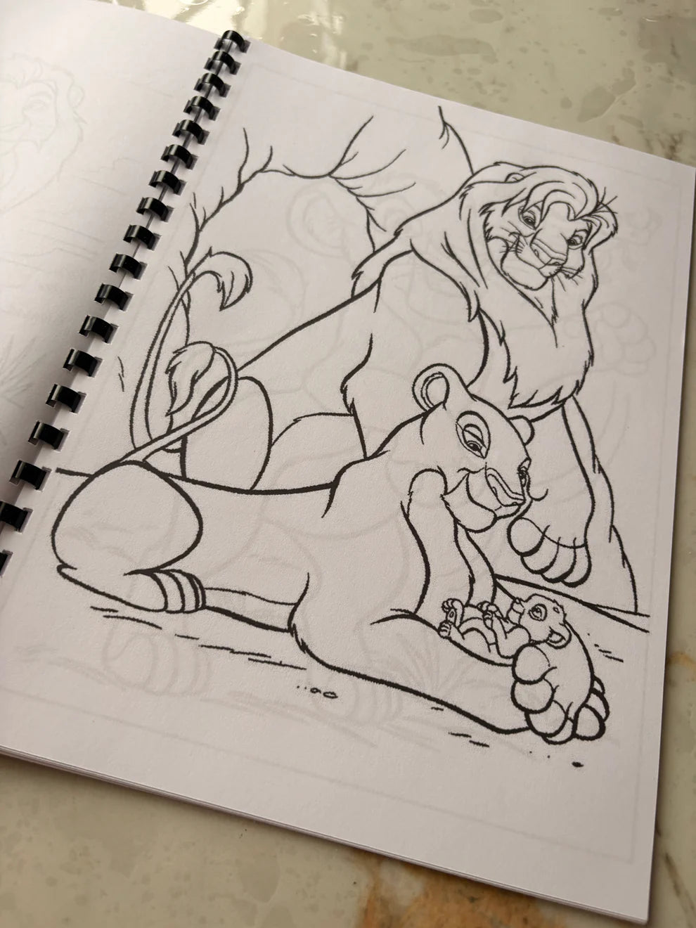 Lion King colouring book
