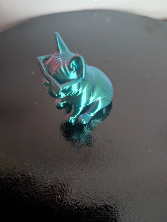 Small french bulldog