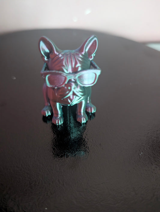 Small french bulldog